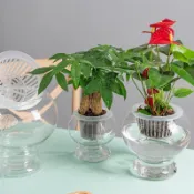 #精選好物 台灣熱銷 魚菜共生缸 水培植物籃 透明玻璃花瓶容器 綠蘿花盆圓球形魚缸 水養小號器皿 造型魚缸 生態缸 免換