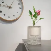 植栽 室內盆栽 火鶴花 無印風盆栽