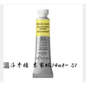 新色上市 Winsor&newton professional 14ml S1 溫莎牛頓 專家級條狀水彩 專家級水彩