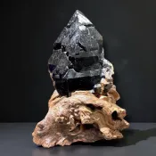 (店+)【尋寶家水晶】【BK-38】｜巴西黑鱷魚骨幹水晶（含立體根雕座）｜鎮宅避煞・超強保護・穩定能量・事業氣場提升