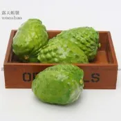 (MOLD-A_007)仿真水果假水果蔬菜模型泡沫水果道具櫥柜樣版擺仿真釋迦果番荔枝