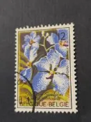 藍色萬代蘭 蘭花 花卉 Vanda coerulea  秋季女士的頭髮 1985 比利時早期郵票