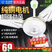 【現貨可開發票】鉆石牌吊扇家用客廳餐廳商用56寸大風力工業五葉電風扇不銹鋼遙控