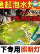 【現貨 可開發票】古法魚缸魚池專用水下led燈帶低壓24V實心矽膠燈條自粘戶外防水  露天市集  全臺最大的網路購物市集