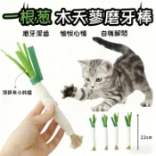 🔥當天出貨🔥 木天蓼磨牙棒 木天蓼潔齒棒 貓薄荷磨牙棒 貓咪潔牙 貓磨牙 貓零食 貓薄荷 木天蓼 貓草 貓咪磨牙玩具