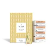 Tea Forte 40入金字塔型絲質茶包 - 南非紅葉茶