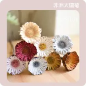 *晴冬小舖*非洲太陽菊 菊花 手工花 乾燥花材 不凋花 永生花材 乾燥花 居家佈置 拍照道具 店面佈置