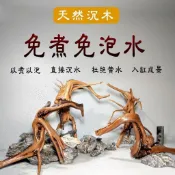 *💗臺中💗杜鵑根沈木莫斯樹熱帶魚蝦天然魚缸水草缸裝飾造景免煮造景木雷龍