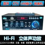 歡樂購物網 擴大機機家用車載直流12伏220V迷你小型擴大機音箱放大器 插卡U盤