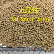 鰻魚飼料 幼鰻飼料 (錦鯉 金魚 鬥魚 花羅漢 孔雀魚 慈鯛 可參考)