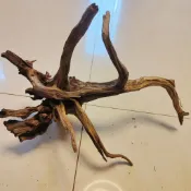 *🔥臺中🔥杜鵑根棲根魚缸造景沈木壹木成景莫斯樹造景裝飾沈木成套壹物壹拍86