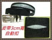 **精選泰國珍珠魚 / 鱷魚皮件精品店**男士珍珠魚皮帶+短夾精緻特價禮組(12)*保証真品 / 原價1900*