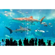 【5折急售】沖繩美麗海水族館門票（電子票券/KKday購入/行程變更割愛）