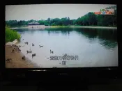 32吋液晶電視 畫質優美 HDMI x 3 ( CHIMEI  TL-32S4000T ) 附全新遙控器
