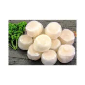 (店+)【萬象極品】NG干貝/組合干貝(約15粒)/淨重: 250g±2.5%x1包 毛重: 500g±5%(分享包) 81463217