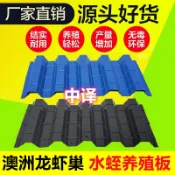 🔥臺灣熱賣🔥澳洲淡水藍龍蝦巢槽穴人工養殖室內養殖小龍蝦設備螞蟥水蛭闆蟹屋
