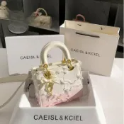 喜挖2店 女包小眾漸變流蘇戴妃包女2025新款感包包女手提斜背潮包