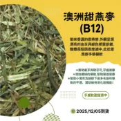 甜燕麥(B12款)※《富兔康》♥澳洲甜燕麥(B12)100克＆400克。※寵物牧草/燕麥草/兔子牧草