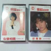 80偶像金瑞瑤暢銷專輯好想你似曾相識卡帶錄音帶收夜夜月圓早見優翻唱有一個他 藥師丸原曲千年之愛等極新歌林分售各980日版