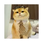 (店+)寵物奇城🐾🏚️ 寵物領結小狗狗紳士領帶貓咪圍脖裝飾小貓口水巾寵物服飾配件圍兜