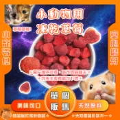 香香毛寶貝🎈 小動物用凍乾草莓 小動物草莓凍乾 鼠兔零食 鼠兔水果乾 倉鼠零食 小動物果乾 小寵草莓凍乾 小寵零食