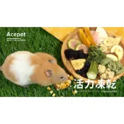 《胖頭龍批發工廠》活力凍乾 天然果乾 小動物 零食 蔬菜 零食 磨牙 點心 倉鼠 兔子 天竺鼠 龍貓 凍乾 果乾 水果
