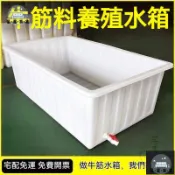 工廠現貨 可開發票 【牛筋水箱 宅配免運】養魚水箱 養殖水箱 大型養龜盆 養殖桶 長方形水桶 方形儲水桶 儲水箱 高水箱 大容量水箱 全館折扣 售後保障 可開發票 年底鉅惠 m