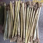 精品桂竹簫料 尺八簫材簫料