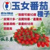 城禾農產🍃 農友玉女番茄種子 6粒 玉女番茄種子 玉女蕃茄種子 番茄種子 蕃茄 種子 紅蕃茄種子 紅番茄種子 小蕃茄種子