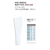 ZETT 棒球褲 壘球褲 練習褲 比賽褲 美式小直筒褲 BUPT-1070 (雙膝加厚 耐磨)
