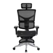 【Costco好市多】Ergoking 171-Pro 全功能網布人體工學椅附腳凳 Ergoking 171-Pro Pro Mesh Chair with Ottoman