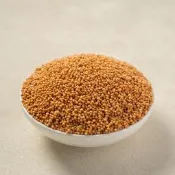 黃芥末籽 芥菜籽 芥末【天然養生小舖】辛香料 香辛料 香料 中藥