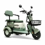 芒果名品 【接送孩子代步】電動三輪車 電瓶車 代步車 老人車 家用電動車 小型電動車 雙人座 輕巧好騎 安全穩定 適合長輩接送 女性友善設計