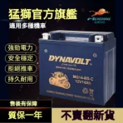 桃園出貨🚚 機車啟動電池 機車電瓶 通用 春風貝納利哈雷寶馬125踏板豪爵川崎 12v蓄電池