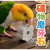 礦物磨牙石 鸚鵡磨嘴專用 寵物磨牙 小寵磨牙專用 磨喙 鸚鵡花朵磨牙石 小鸚 亞馬遜 中小型鸚鵡用 磨甲石🧡茉莉嚴選