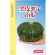 愛上種子 黑皮栗子南瓜種子【蔬果種子】50粒 大包裝種子 興農種苗 彩色原包裝 家庭園藝