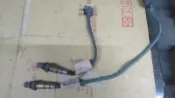 W210 含氧感知器 O2 一條1500