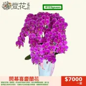 💫豐花花店 網路 花店 婚喪喜慶 喪禮 開幕 蝴蝶蘭 蘭花 花籃 鮮花 告別式 盆栽 雲林 台中 彰化 南投 殯儀館