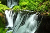 【Lion Travel 雄獅旅遊】限定PLUS東京｜全程無自理餐.輕井澤.草津湯畑.伊香保.表參道.敘敘苑燒肉.螃蟹雙湯五日｜保住2晚國際連鎖飯店 出發地點：台北