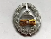 懷舊~~~早期~~~陸軍中正預校小帽徽(缺國徽)---帽徽