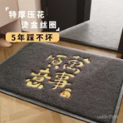 🔥臺灣出貨⚡入戶門地墊 絲圈防滑入戶地毯 大門口進門腳墊 入門刮泥門墊 門外蹭腳墊子 進門玄關 防滑墊