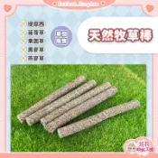 花花萌寵王國🎀 天然牧草棒 草棒 牧草條 小寵零食 鼠兔零食 兔子零食 兔零食 小動物牧草棒 小動物點心 鼠兔草棒 草條