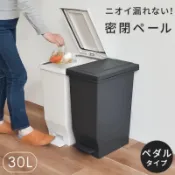 30L日本製Asvel腳踏垃圾桶防臭踏圾桶白色/黑色