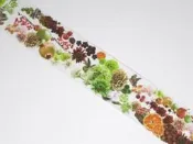 (分裝)日本Round top Flower line系列紙膠帶-Beige&Fruit