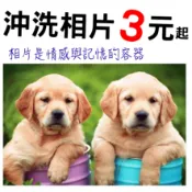 快速出貨3元起拍立得 印相片 洗相片 2X3 4X6 3X5洗照片沖洗相片 數位相片 全家福婚紗照慶生照 彌月卡 寶寶照