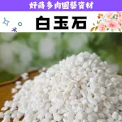 ✫好蒔多肉✫ 白玉石 鋪面石 白色石頭 美觀 介質 鋪面 多肉 塊根 觀葉 仙人掌 水族 裝飾 園藝 造景 美觀 居家