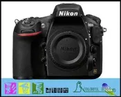 彩色鳥 (租鏡頭 租相機 鏡頭出租) Nikon D810 單機身 租 D4S D810 D4 D800 D600 出租