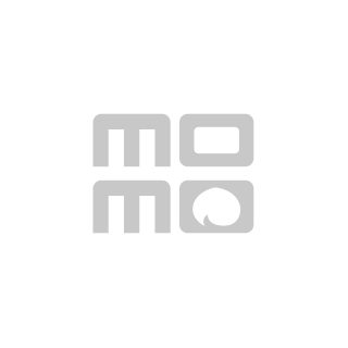 【Michelin 米其林】PILOT SPORT 4S PS4S 高性能運動輪胎_四入組_255/30/19(車麗屋)