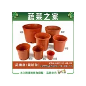 (店+)【蔬菜之家】荷蘭盆栽培盆6吋.7吋.8吋.1尺※賣場另有其他尺寸※紅盆 種植盆 花盆 栽植盆 塑膠花盆 育苗