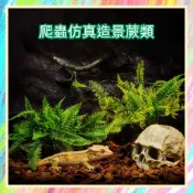 ★爬蟲新樂園★[台灣現貨]爬蟲仿真蕨葉含底座 造景首選 造型逼真 還原自然環境 底座厚重 不易傾倒 爬蟲 水族造景